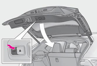 Lexus NX. Opening, closing and locking the doors