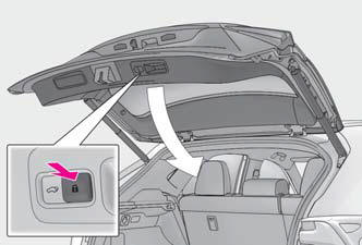 Lexus NX. Opening, closing and locking the doors