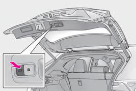 Lexus NX. Opening, closing and locking the doors