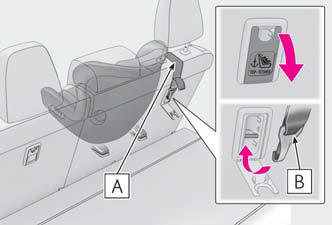 Lexus NX. Child restraint systems