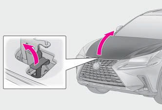 Lexus NX. Do-it-yourself maintenance