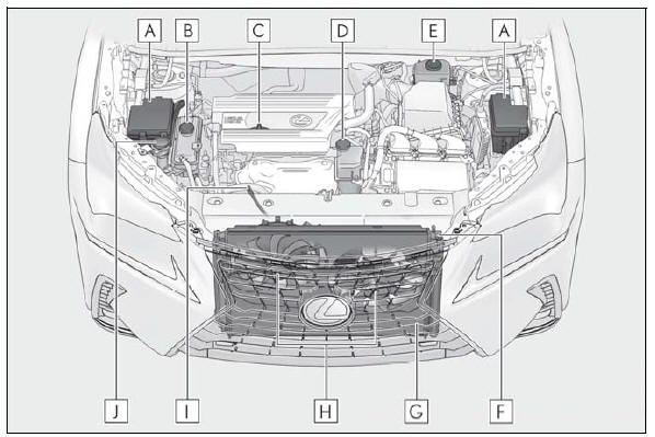 Lexus NX. Do-it-yourself maintenance