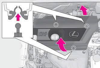 Lexus NX. Steps to take in an emergency