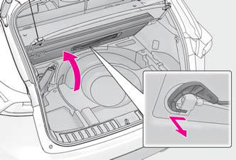 Lexus NX. Steps to take in an emergency