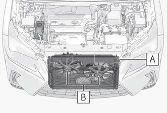 Lexus NX. Steps to take in an emergency