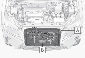 Lexus NX. Steps to take in an emergency